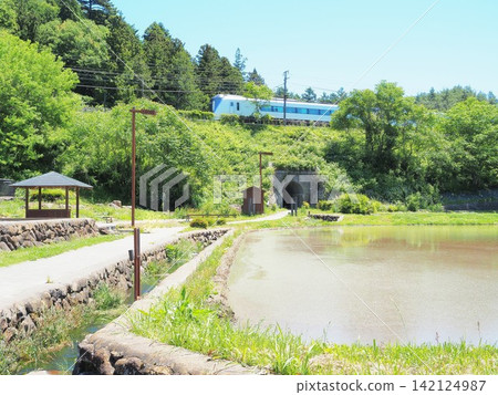 山梨縣大瀧泉水公園的景色,五月 山梨縣大瀧泉水公園的景色,五月 142124987