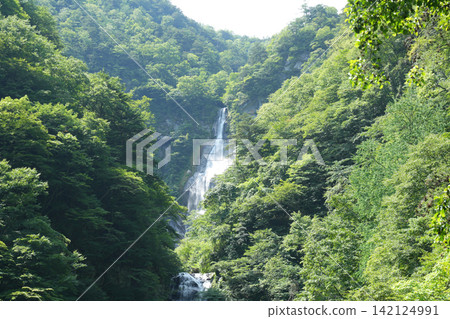 Shojigataki Waterfall, Ishikuragawa Valley, Hokuto City Shojigataki Waterfall, Ishikuragawa Valley, Hokuto City 142124991