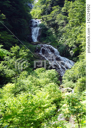 Shojigataki Waterfall, Ishikuragawa Valley, Hokuto City Shojigataki Waterfall, Ishikuragawa Valley, Hokuto City 142124992