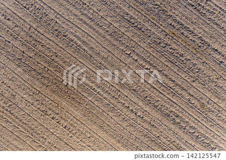 sown agricultural field, view from above sown agricultural field, view from above 142125547