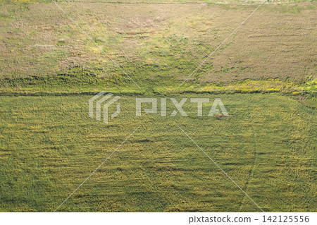 sown agricultural field, view from above sown agricultural field, view from above 142125556