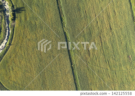 sown agricultural field, view from above 142125558