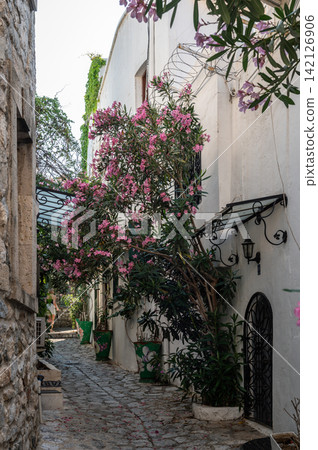 Traditional stone houses in old town Marmaris Turkey Traditional stone houses in old town Marmaris Turkey 142126906