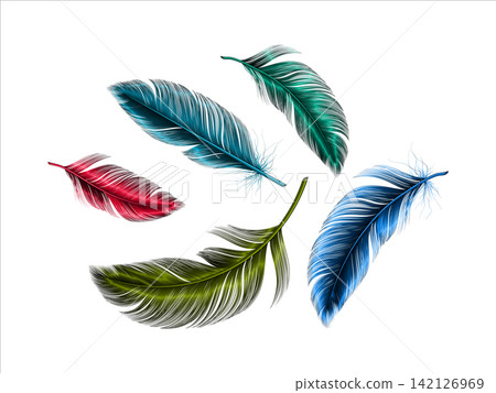 3d realistic birds feather collection illustration 3d realistic birds feather collection illustration 142126969