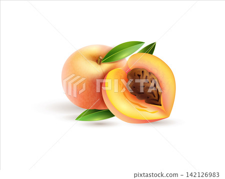 3D Render of Ripe Loquat Fruit with Half Slice and Leaf Detail 3D Render of Ripe Loquat Fruit with Half Slice and Leaf Detail 142126983