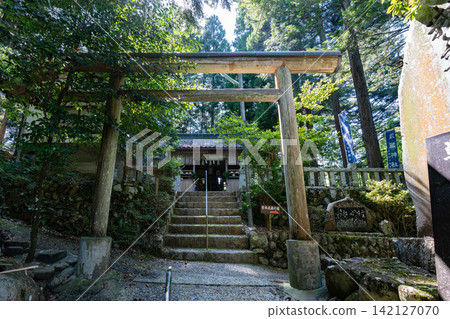 武藏神社的鳥居與神社建築 武藏神社的鳥居與神社建築 142127070