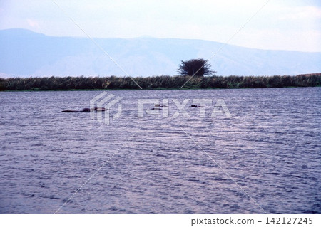 Tanzania Ngorongoro Conservation Area Tanzania Ngorongoro Conservation Area 142127245