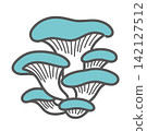 Oyster mushroom illustration 142127512
