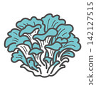 Illustration of Maitake mushrooms 142127515