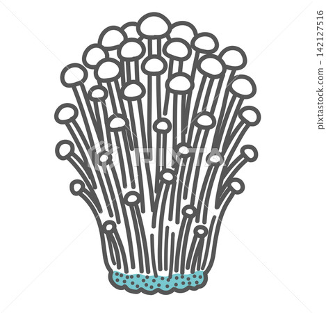 金針菇插圖 金針菇插圖 142127516