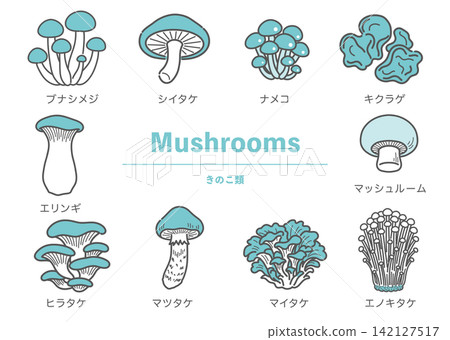 一組描繪了10種不同蘑菇的插圖。 一組描繪了10種不同蘑菇的插圖。 142127517