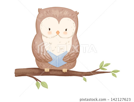 Cute owl reading book on tree branch. Watercolour illustration isolated on white background for children Cute owl reading book on tree branch. Watercolour illustration isolated on white background for children 142127623