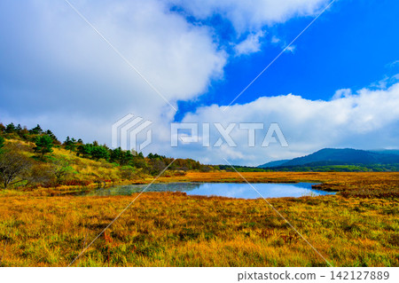 On a clear autumn morning, the beautiful scenery of the ponds reflecting the blue sky and the autumn foliage of the grasses can be seen from the walking trails of Yashimagahara Marshland. On a clear autumn morning, the beautiful scenery of the ponds reflecting the blue sky and the autumn foliage of the grasses can be seen from the walking trails of Yashimagahara Marshland. 142127889