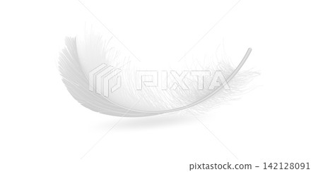 Fluffy birds feather flying and falling illustration Fluffy birds feather flying and falling illustration 142128091