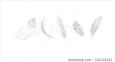 Flying feathers. Falling twirled fluffy realistic white swan dove or angel wings feather Flying feathers. Falling twirled fluffy realistic white swan dove or angel wings feather 142128101