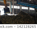 Industrial conveyor belt unloading processed organic waste pile in recycling power plant warehouse. 142128265