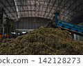 Huge pile of sorted municipal solid waste under conveyor belt in recycling facility hall. 142128273
