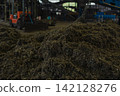 Huge pile of sorted municipal solid waste under conveyor belt in recycling facility hall. 142128276