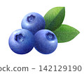 Watercolor illustration of fresh blueberries and leaves 142129190