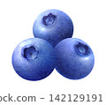 Watercolor illustration of fresh blueberries 142129191
