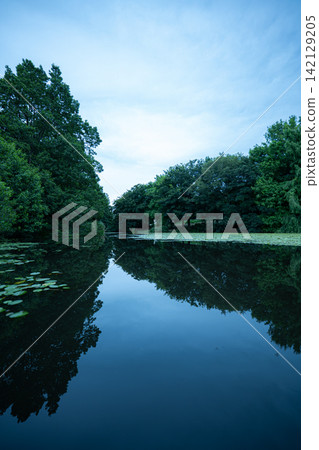 The still surface of the pond reflects the trees of the forest and the sky like a mirror. The still surface of the pond reflects the trees of the forest and the sky like a mirror. 142129205
