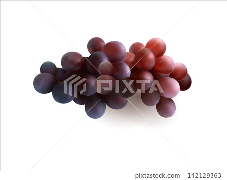 Realistic 3d grape cluster isolated on white background. Purple grapes fruit illustration Realistic 3d grape cluster isolated on white background. Purple grapes fruit illustration 142129363