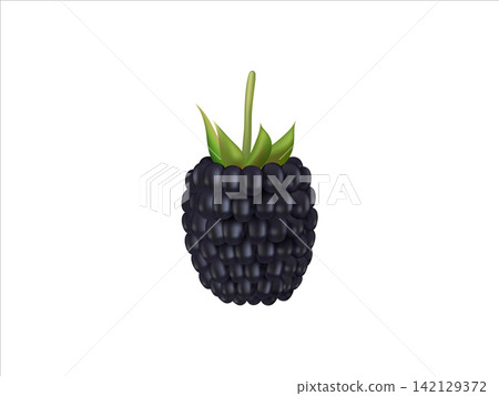 Realistic Black Raspberry 3D Fruit Illustration with Green Leaves on White Background 142129372