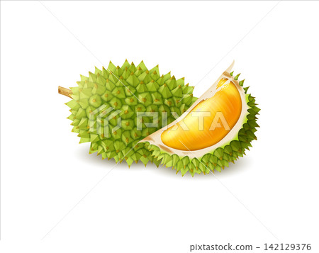 Realistic duriyan fruit 3d illustration. Exotic fruit duriyan whole and slice 142129376