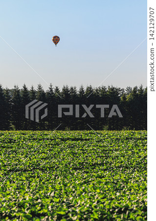 A hot air balloon scene in Kamishihoro town, standing in the background of vast farmlands and lush green trees illuminated by the morning sun. A hot air balloon scene in Kamishihoro town, standing in the background of vast farmlands and lush green trees illuminated by the morning sun. 142129707