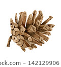 pine, pine cone, watercolor 142129906