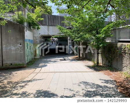 Street trees and tunnel under the elevated railway Street trees and tunnel under the elevated railway 142129993