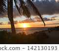 熱帶海灘上，棕櫚樹和大海在夕陽的映照下勾勒出迷人的輪廓。 142130193