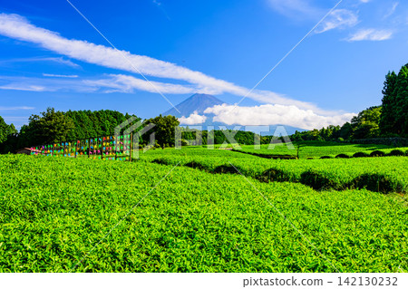 On a clear summer morning, the view of tea fields and Mount Fuji from Obuchi Sasaba, seen through colorful windmill sculptures. On a clear summer morning, the view of tea fields and Mount Fuji from Obuchi Sasaba, seen through colorful windmill sculptures. 142130232