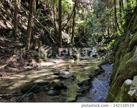 "Shining mountain stream and deep green" - Asuka Village, Nara Prefecture, Asuka River headwaters "Shining mountain stream and deep green" - Asuka Village, Nara Prefecture, Asuka River headwaters 142130519