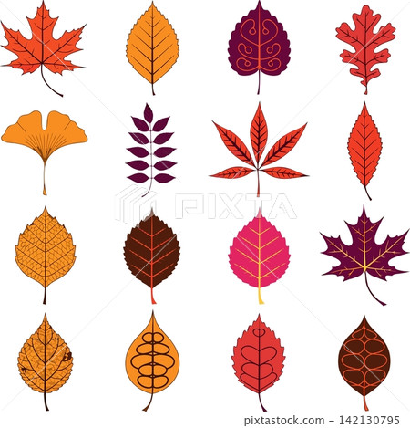 The image displays a collection of autumn leaves featuring diverse shapes, botanical types, and a seasonal color palette 142130795