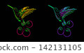 Fantasy linear colibri in neon colors 142131105