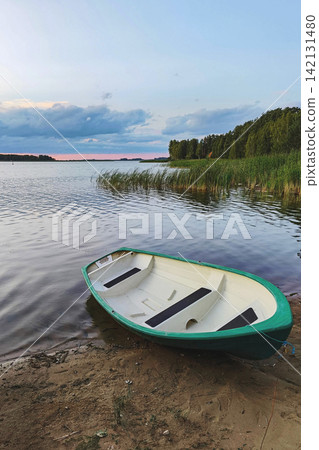 Green and white rowboat resting on sandy lakeshore beside calm water, tall reeds and forest under soft evening sky Green and white rowboat resting on sandy lakeshore beside calm water, tall reeds and forest under soft evening sky 142131480