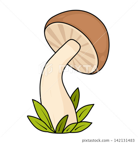Cute brown mushroom fungus in grass nature autumn forest sticker print visual graphic clipart artwork design icon element illustration Cute brown mushroom fungus in grass nature autumn forest sticker print visual graphic clipart artwork design icon element illustration 142131483