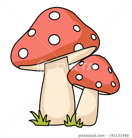 Pair of cute red spotted fly agaric mushrooms toadstool in grass nature autumn forest sticker print visual graphic clipart artwork design icon element illustration Pair of cute red spotted fly agaric mushrooms toadstool in grass nature autumn forest sticker print visual graphic clipart artwork design icon element illustration 142131498