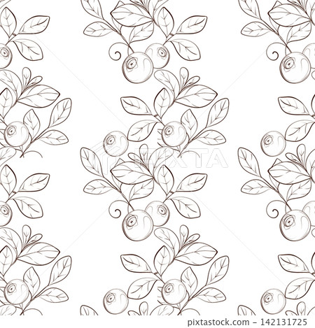 Blueberry vertical seamless vector pattern with berries and elegant foliage, black ink botanical line drawing for luxury packaging, textiles and surface design 142131725