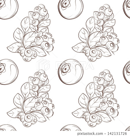 Blueberry seamless vector pattern with berries and leaves, elegant contour botanical illustration for cosmetics, packaging, textiles and wrapping paper Blueberry seamless vector pattern with berries and leaves, elegant contour botanical illustration for cosmetics, packaging, textiles and wrapping paper 142131726