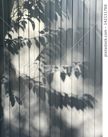 Leaves shadows on corrugated metal wall. Leaves reflection, sunlight and nature background Leaves shadows on corrugated metal wall. Leaves reflection, sunlight and nature background 142131768