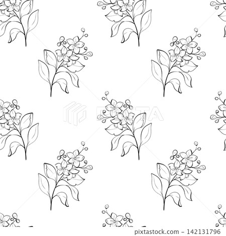 Jasmine seamless vector pattern black and white fine line drawing, airy flowering branches for bedding, nursery textile, wallpaper and surface design Jasmine seamless vector pattern black and white fine line drawing, airy flowering branches for bedding, nursery textile, wallpaper and surface design 142131796