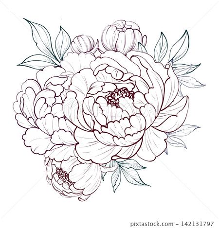 Peony flowers bouquet with leaves. Botanical arrangement for romantic design and wedding decor Peony flowers bouquet with leaves. Botanical arrangement for romantic design and wedding decor 142131797
