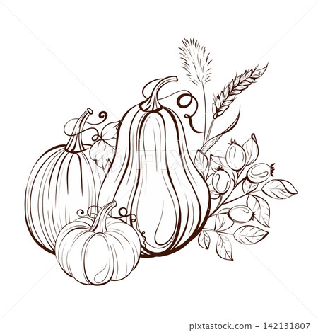 Harvest bouquet vector illustration black and white fine line drawing, pumpkins with cotton, wheat and rosehips for greeting cards, posters and calendars Harvest bouquet vector illustration black and white fine line drawing, pumpkins with cotton, wheat and rosehips for greeting cards, posters and calendars 142131807
