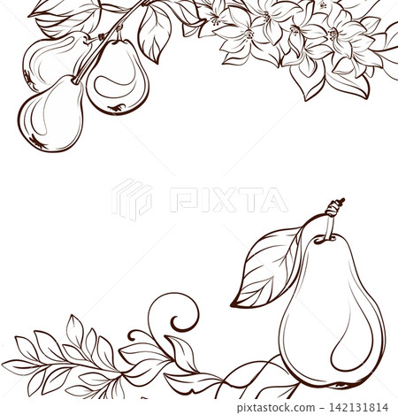 Horizontal composition with pears, orchard branches and botanical flourish, delicate line vector illustration in timeless farmhouse style for branding, packaging and stationery Horizontal composition with pears, orchard branches and botanical flourish, delicate line vector illustration in timeless farmhouse style for branding, packaging and stationery 142131814