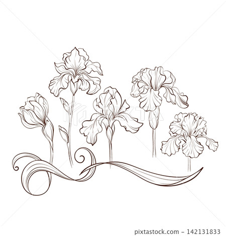 Iris asymmetrical botanical arrangement vector, black white fine line illustration with flowers and foliage for modern branding, product cards, banners, stationery and packaging Iris asymmetrical botanical arrangement vector, black white fine line illustration with flowers and foliage for modern branding, product cards, banners, stationery and packaging 142131833