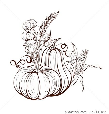 Harvest bouquet vector illustration black and white fine line drawing, pumpkins with dried botanicals for greeting cards, posters and calendar design Harvest bouquet vector illustration black and white fine line drawing, pumpkins with dried botanicals for greeting cards, posters and calendar design 142131834