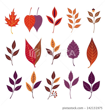 This image features a collection of flat vector autumn leaves and botanical elements in various autumn colors This image features a collection of flat vector autumn leaves and botanical elements in various autumn colors 142131975