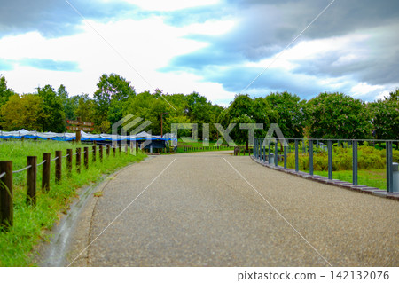 A park promenade stretching out before you, with the sky wide open and rows of lush green trees. A park promenade stretching out before you, with the sky wide open and rows of lush green trees. 142132076